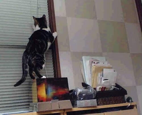 海湾者防守成败关键，压力显现，海湾打击